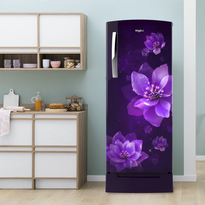 Whirlpool 207 L Direct Cool Single Door 5 Star Refrigerator with Base Drawer - Purple Mulia-Z, 230 IMPRO ROY 5S INV PURPLE MULIA-Z