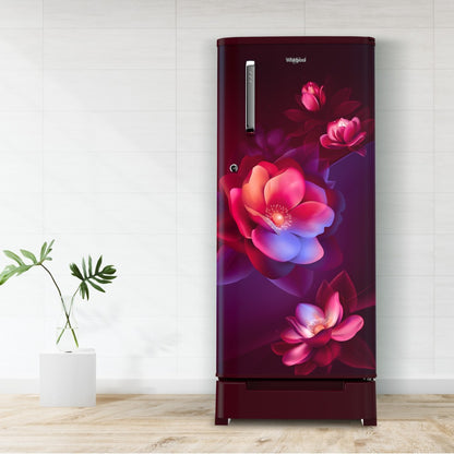 Whirlpool 184 L Direct Cool Single Door 2 Star Refrigerator with Base Drawer - Wine, 205 WDE ROY 2S WINE BLOOM-Z