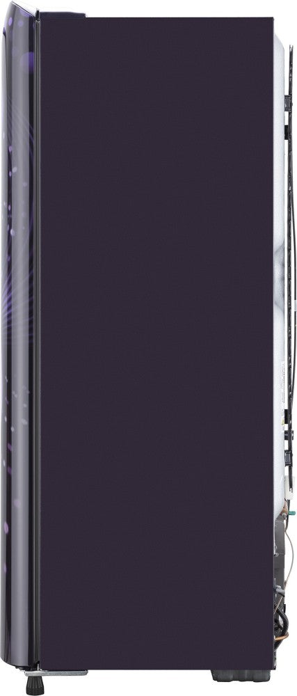 LG 224 L Direct Cool Single Door 4 Star Refrigerator  with Smart Inverter Compressor, Humidity Controller & Moist 'N' Fresh - Purple Victoria, GL-B241APVY