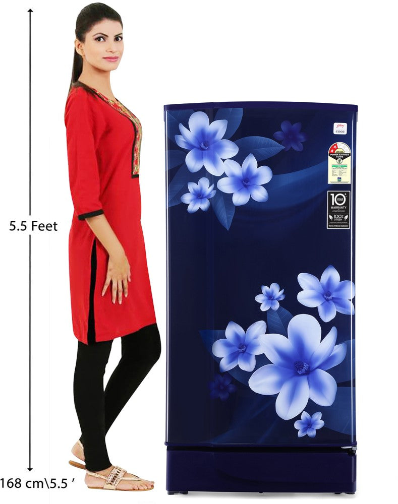 Godrej 180 L Direct Cool Single Door 2 Star Refrigerator - Pep Blue, RD EDGE 205B WRF PP BL