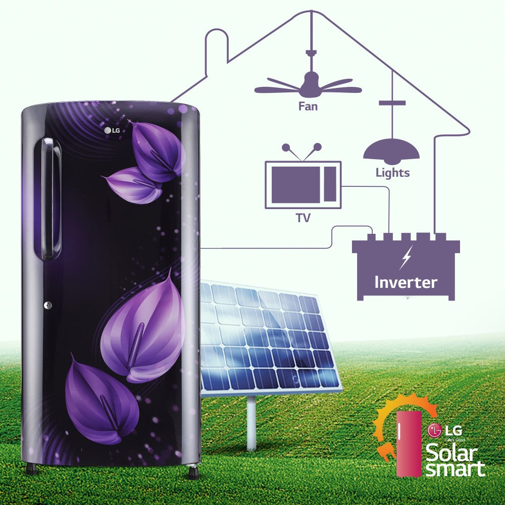 LG 205 L Direct Cool Single Door 4 Star Refrigerator  with Smart Inverter Compressor, Humidity Controller & Moist 'N' Fresh - Purple Victoria, GL-B221APVY