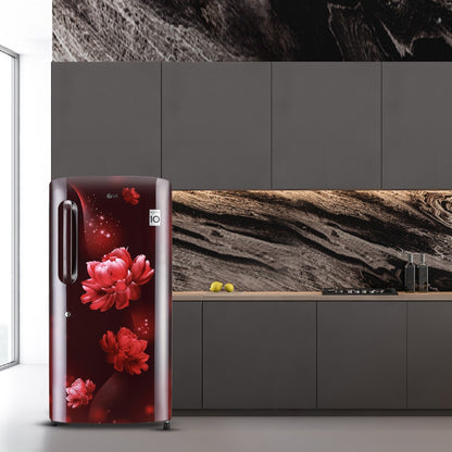 LG 205 L Direct Cool Single Door 4 Star Refrigerator - Scarlet Charm, GL-B221ASCY