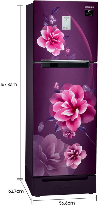 SAMSUNG 244 L Frost Free Double Door 2 Star Refrigerator - Camellia Purple, RT28A3C22CR/HL