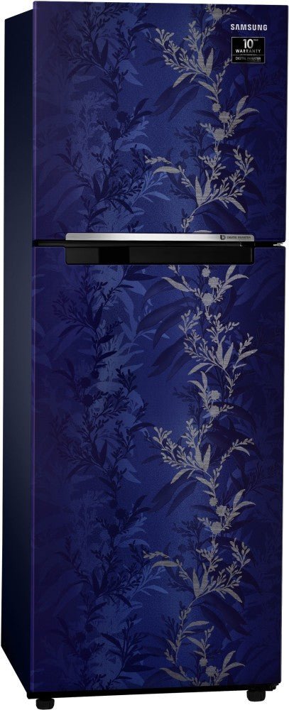 SAMSUNG 253 L Frost Free Double Door 2 Star Refrigerator - Mystic Overlay Blue, RT28T30226U/NL